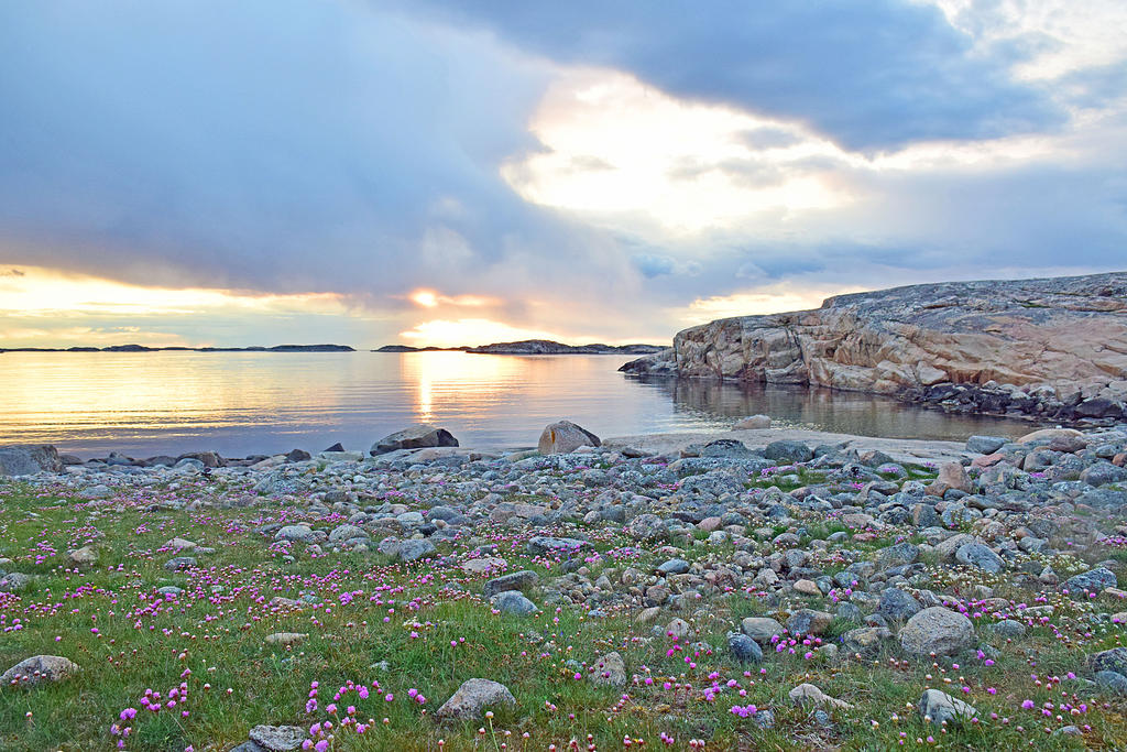 Tjurpannans Naturreservat
Grebbestad