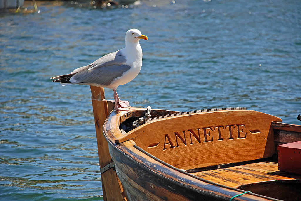 Tjurpannans Naturreservat
Grebbestad