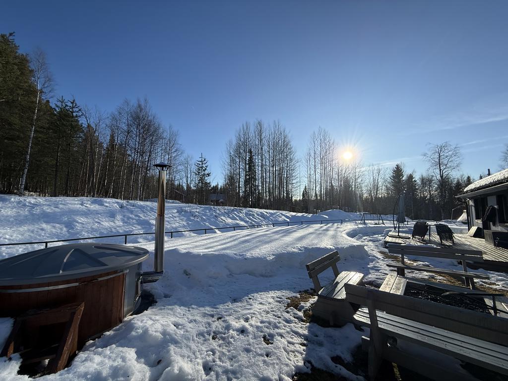 Solig, insynsskyddad bakgård