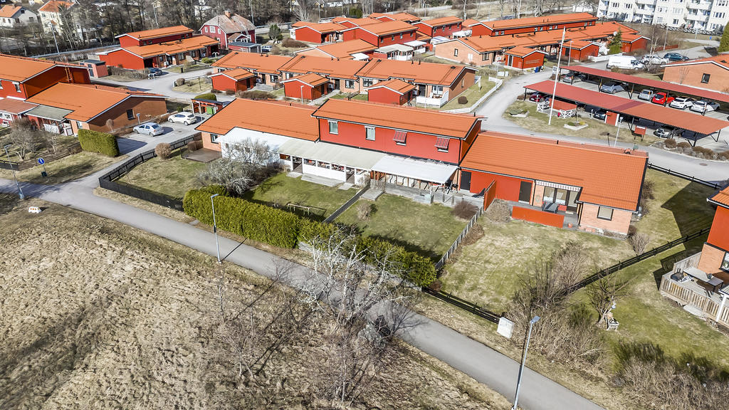 Baksidan mot grönytor