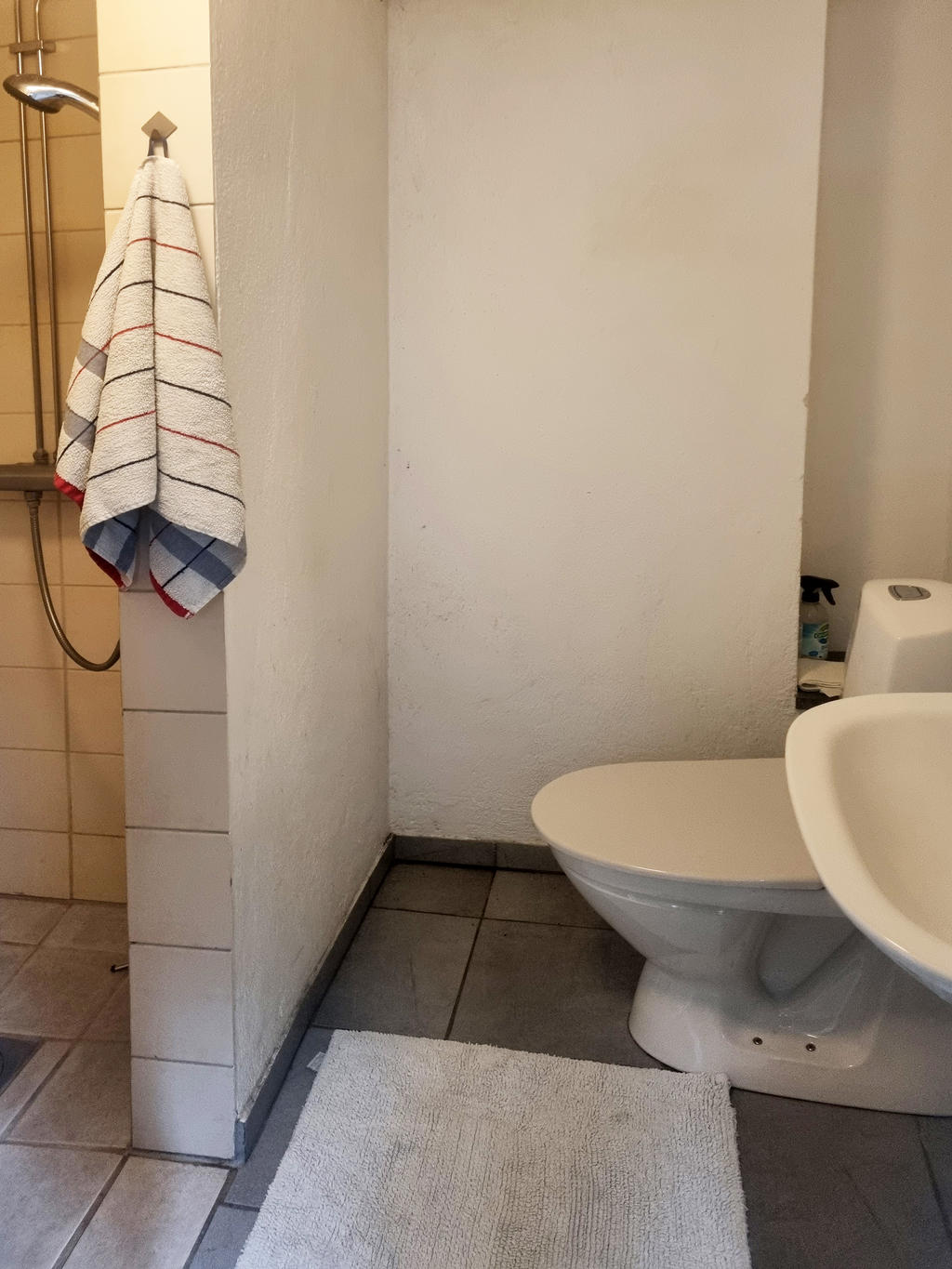 Säljarens egna bild