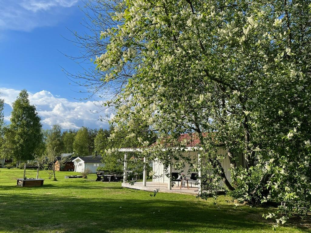 Säljarens sommarbild