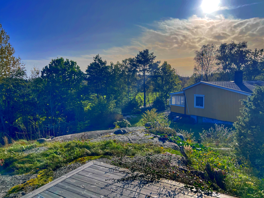 Vy från gäststuga 2 mot bostaden och den lummiga trädgården 