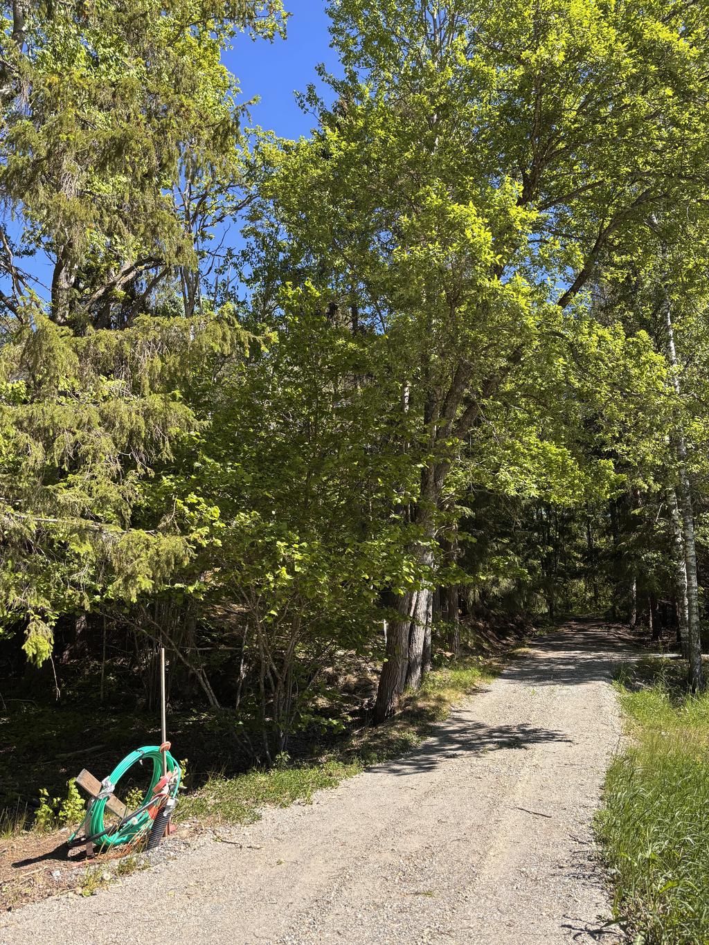 Grusväg in