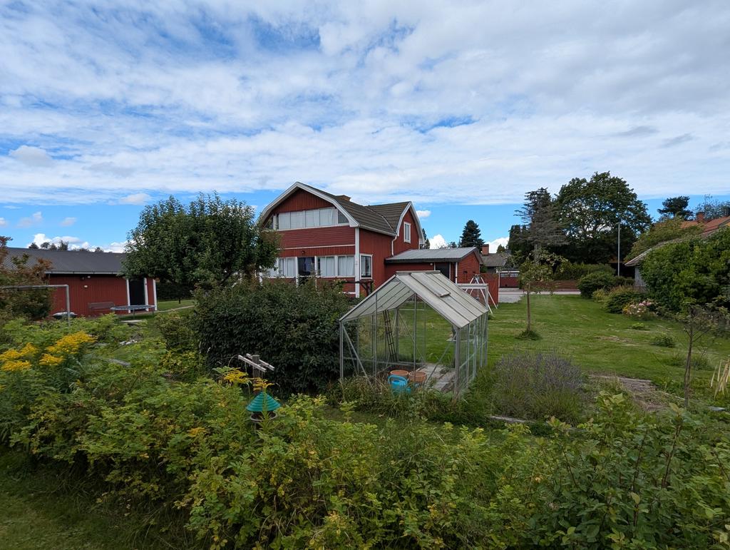 Sommar på Sofiedalsgatan