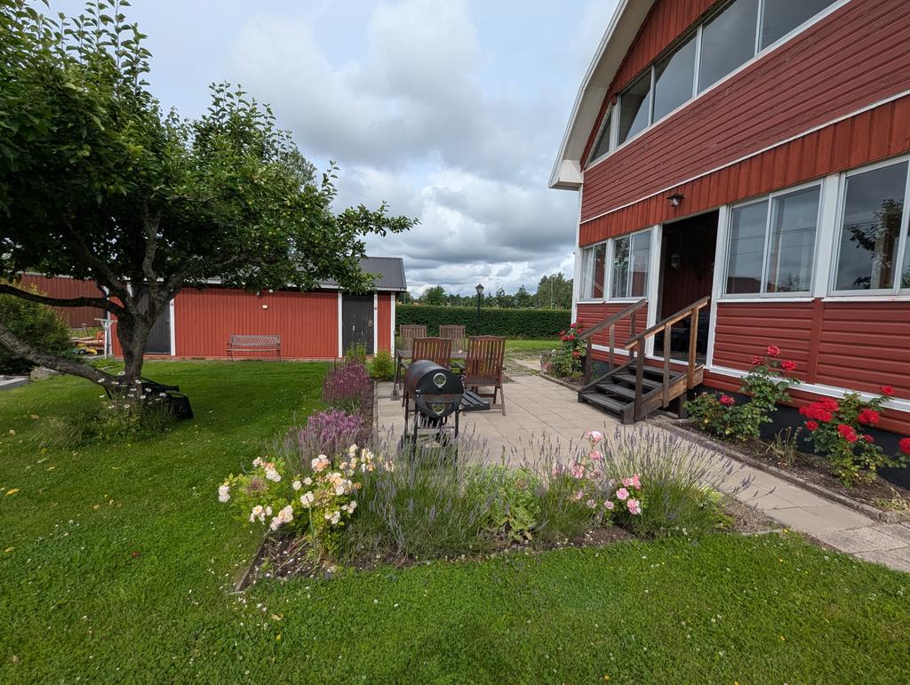 Grönskande trädgård