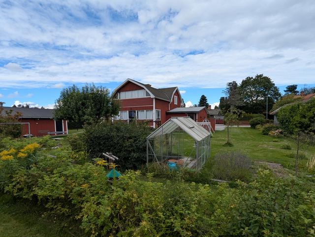 Sommar på Sofiedalsgatan