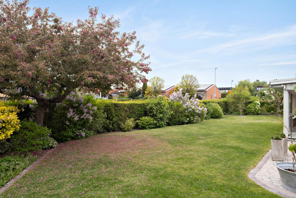 Trädgård