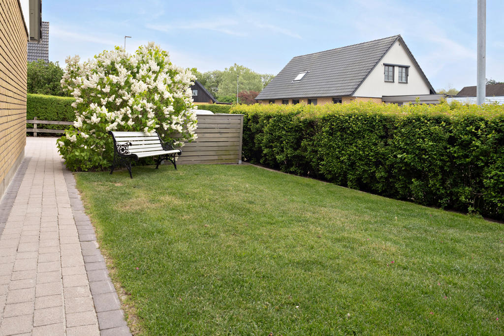 Trädgård