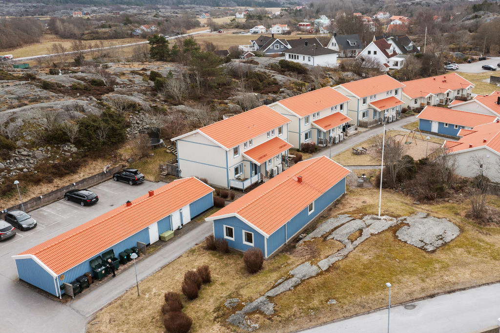 Bild över området och baksidan med berg.