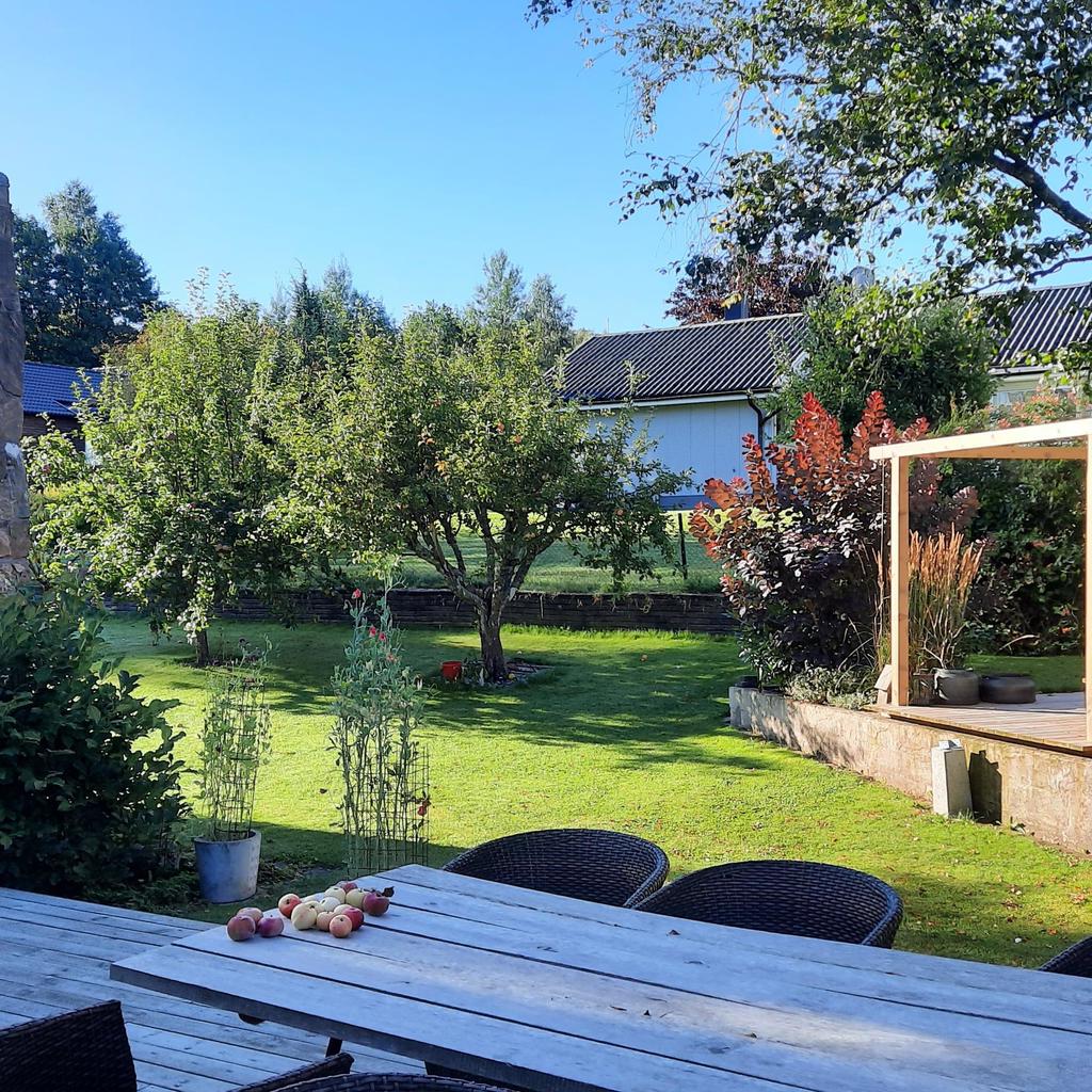 Säljarens sommarbild