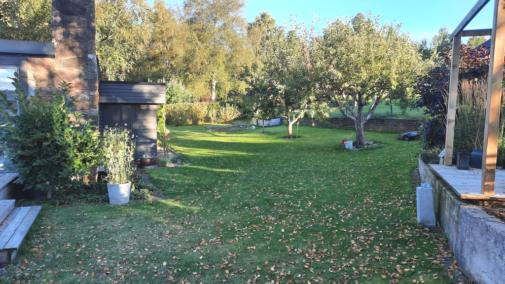 Säljarens sommarbild