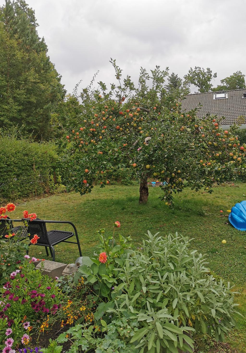 Säljarnas grönskande sommarbilder