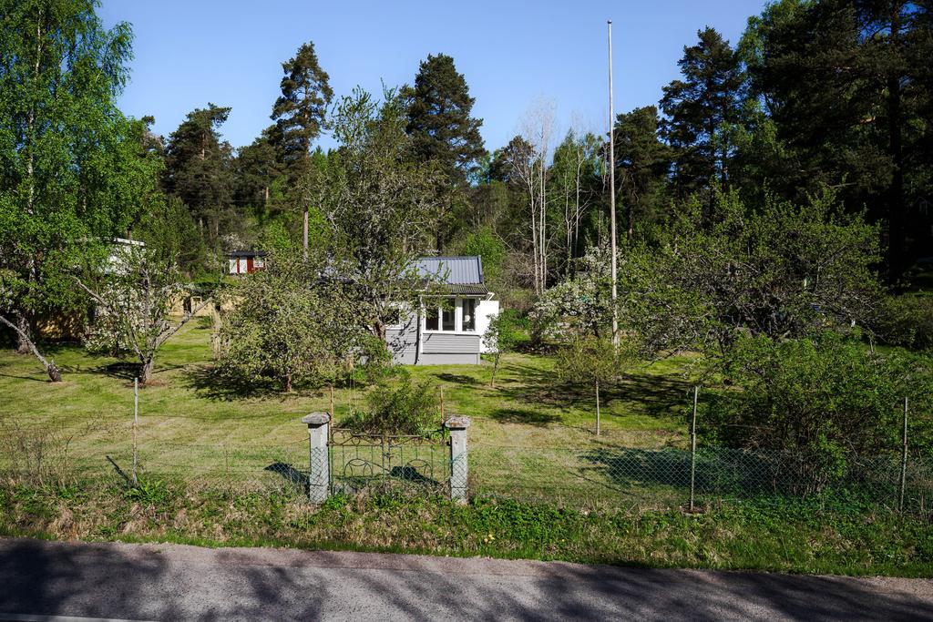 Grönskande trädgård med flera fruktträd