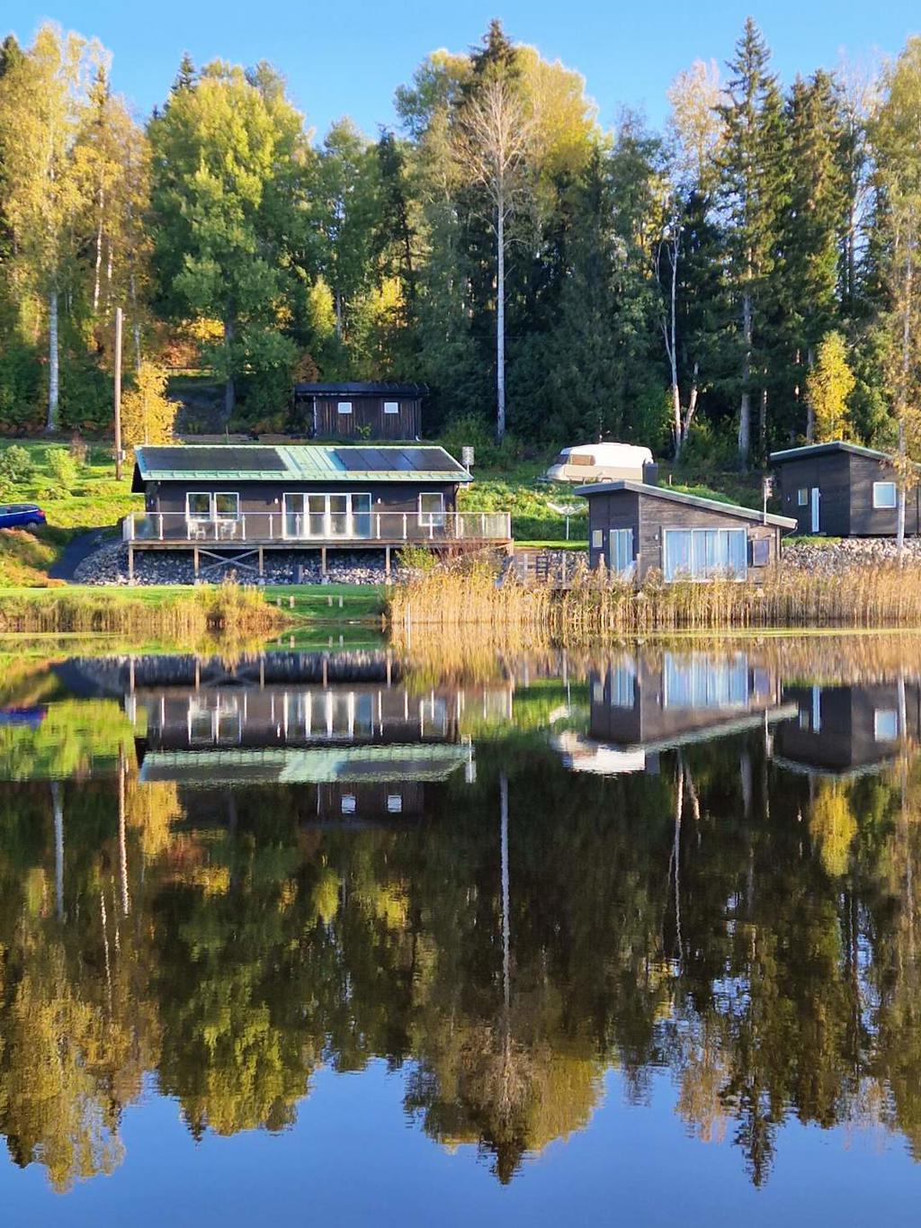 Bild tagen från SUP-bräda ute på sjön. Sjögom 131 i sensommar skrud. 