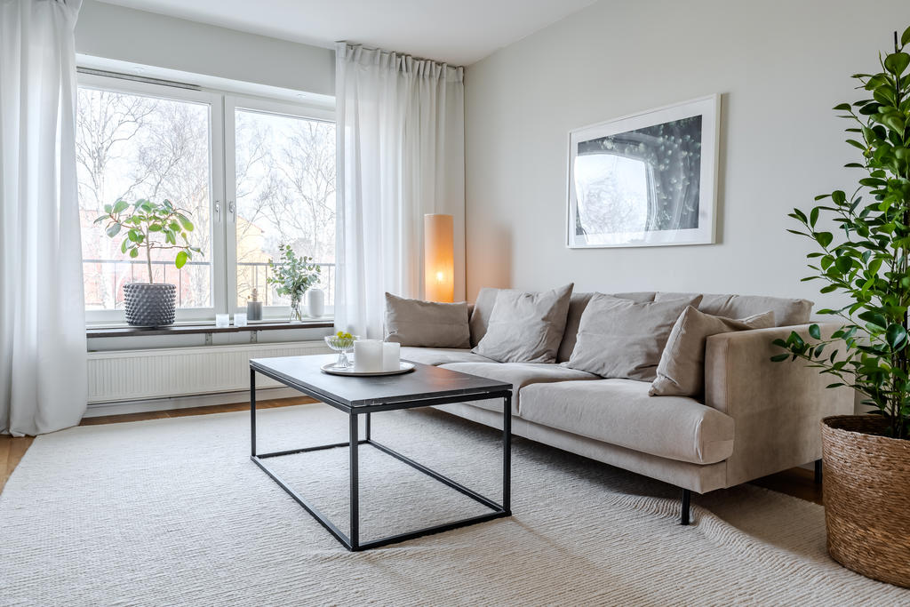 Vackert ljusinsläpp från fönstret. Björkarna silar solljuset.