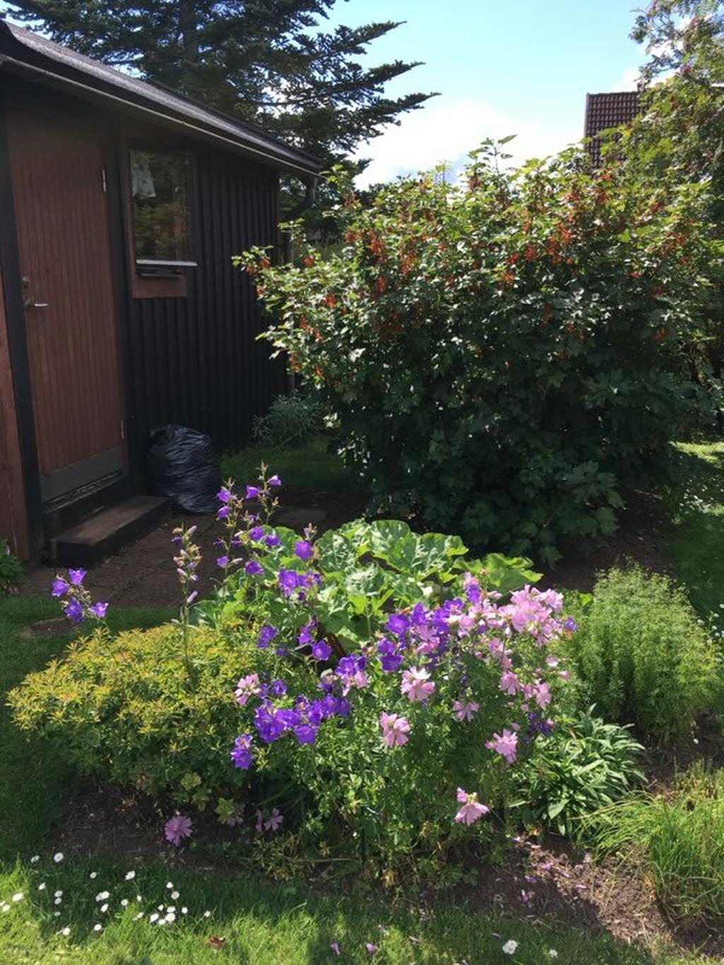 Säljarnas egna bilder