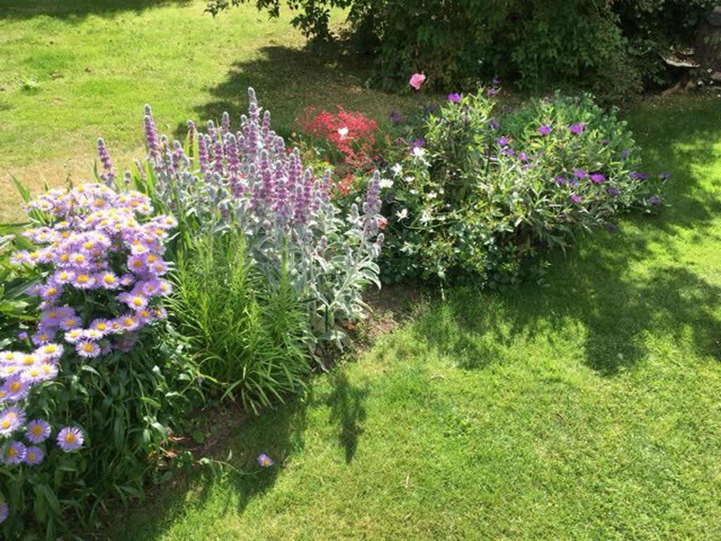 Säljarnas egna bilder