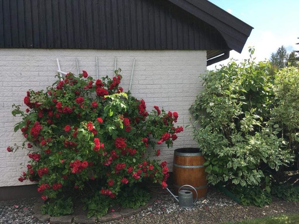 Säljarnas egna bilder