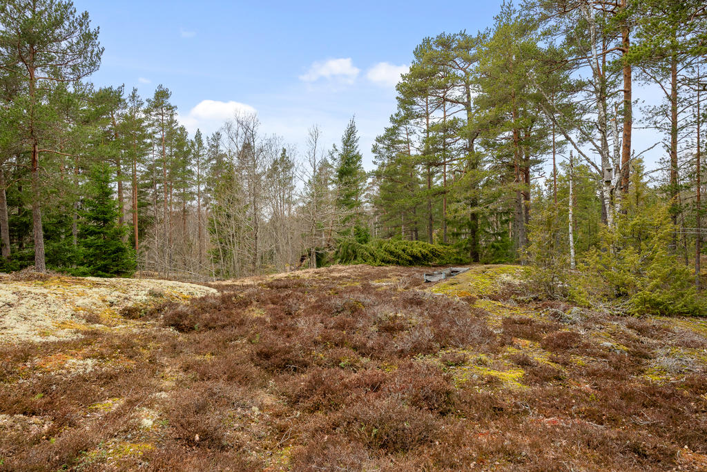Vy över tomten på baksidan