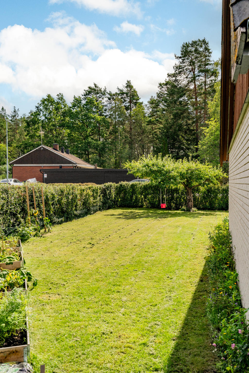 Del av trädgård, bild från sommaren