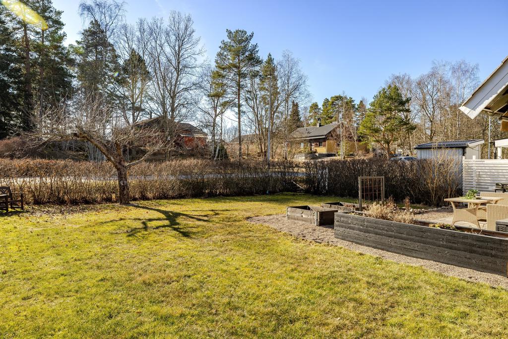 Trädgården på våren