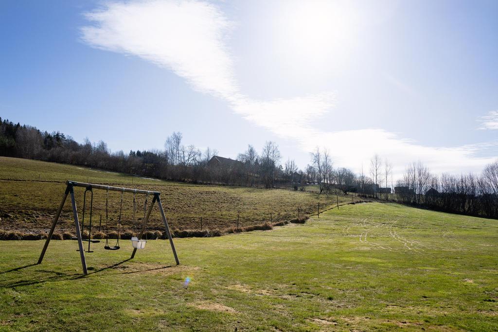 Stora grön- och lekytor
