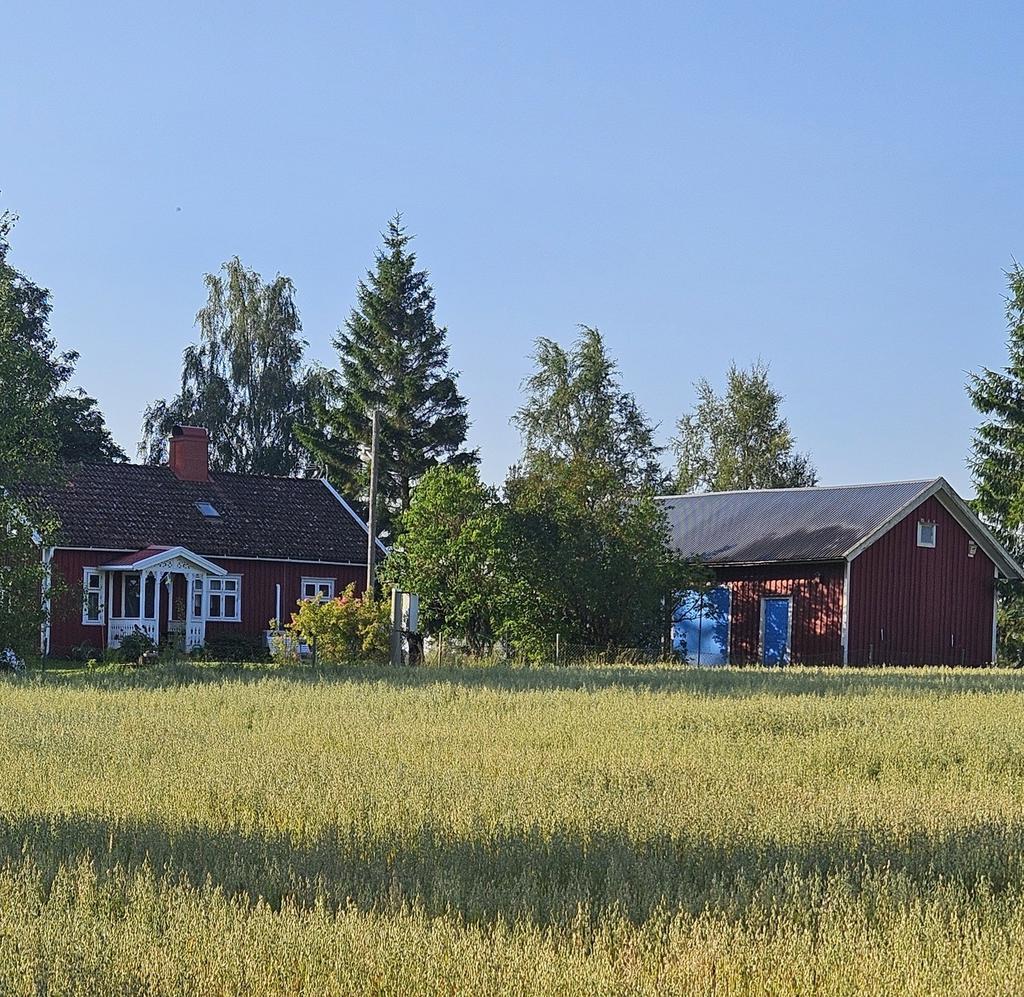 Bild tagen av säljaren