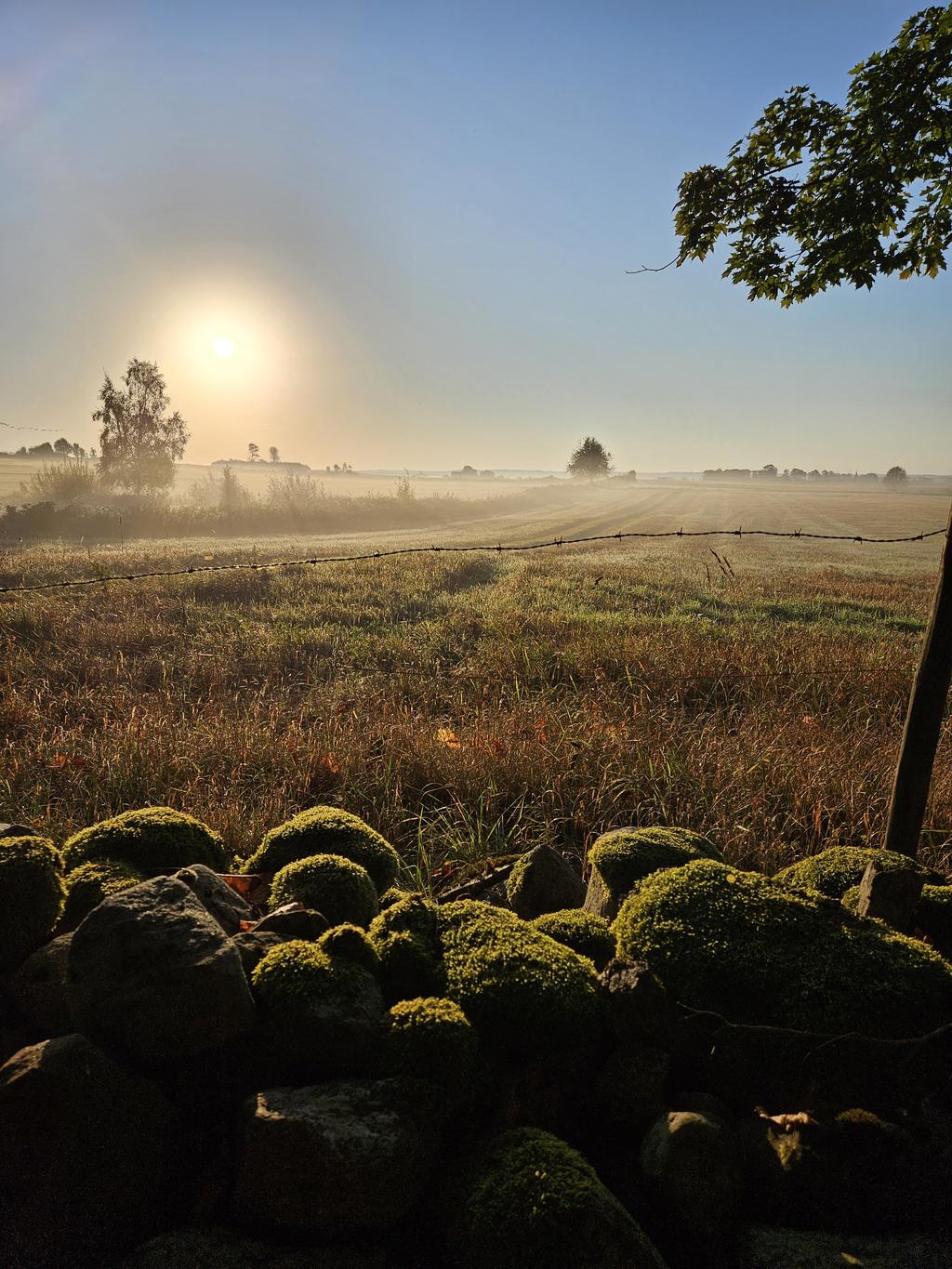 Bild tagen av säljaren