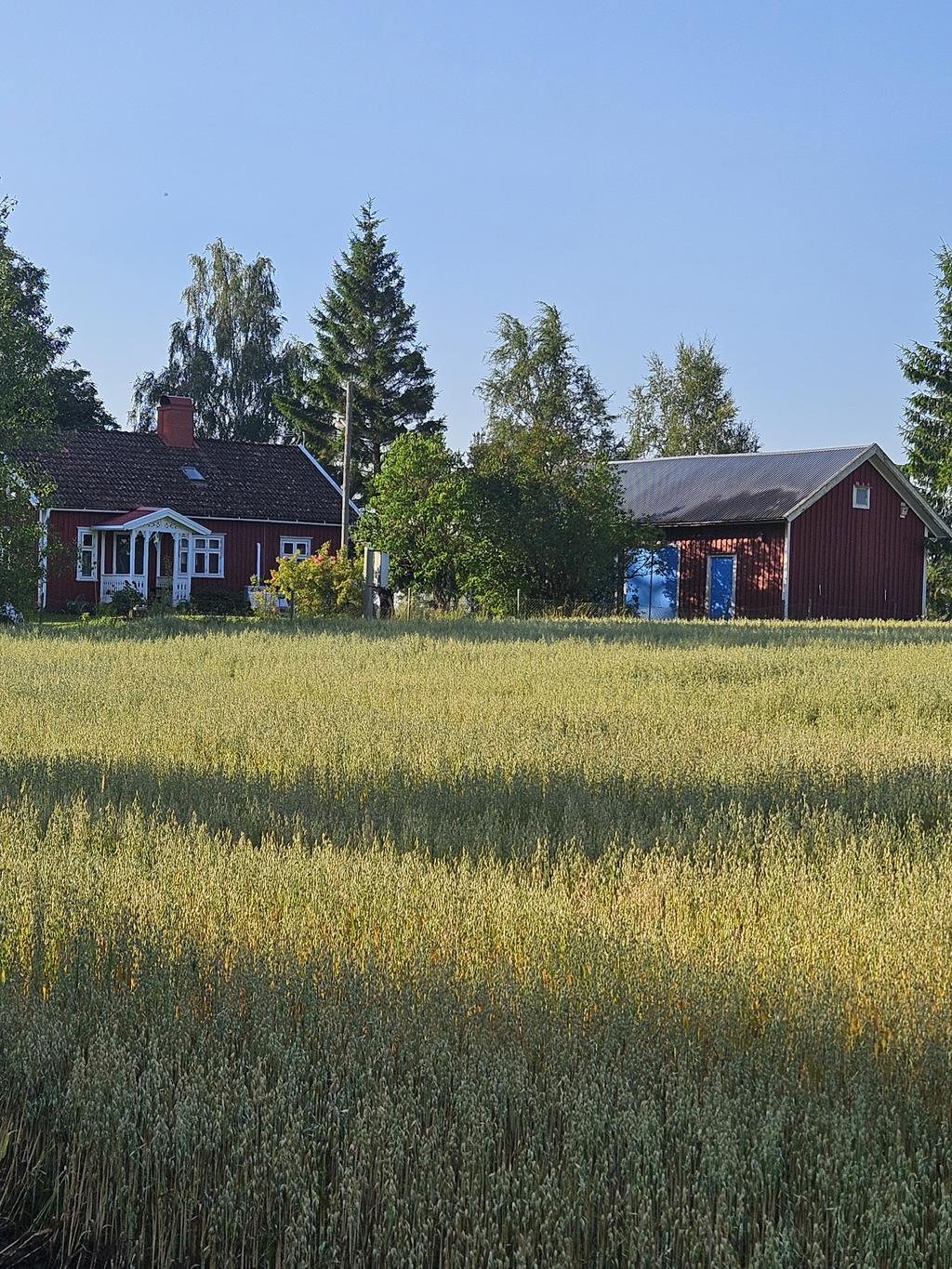 Bild tagen av säljaren