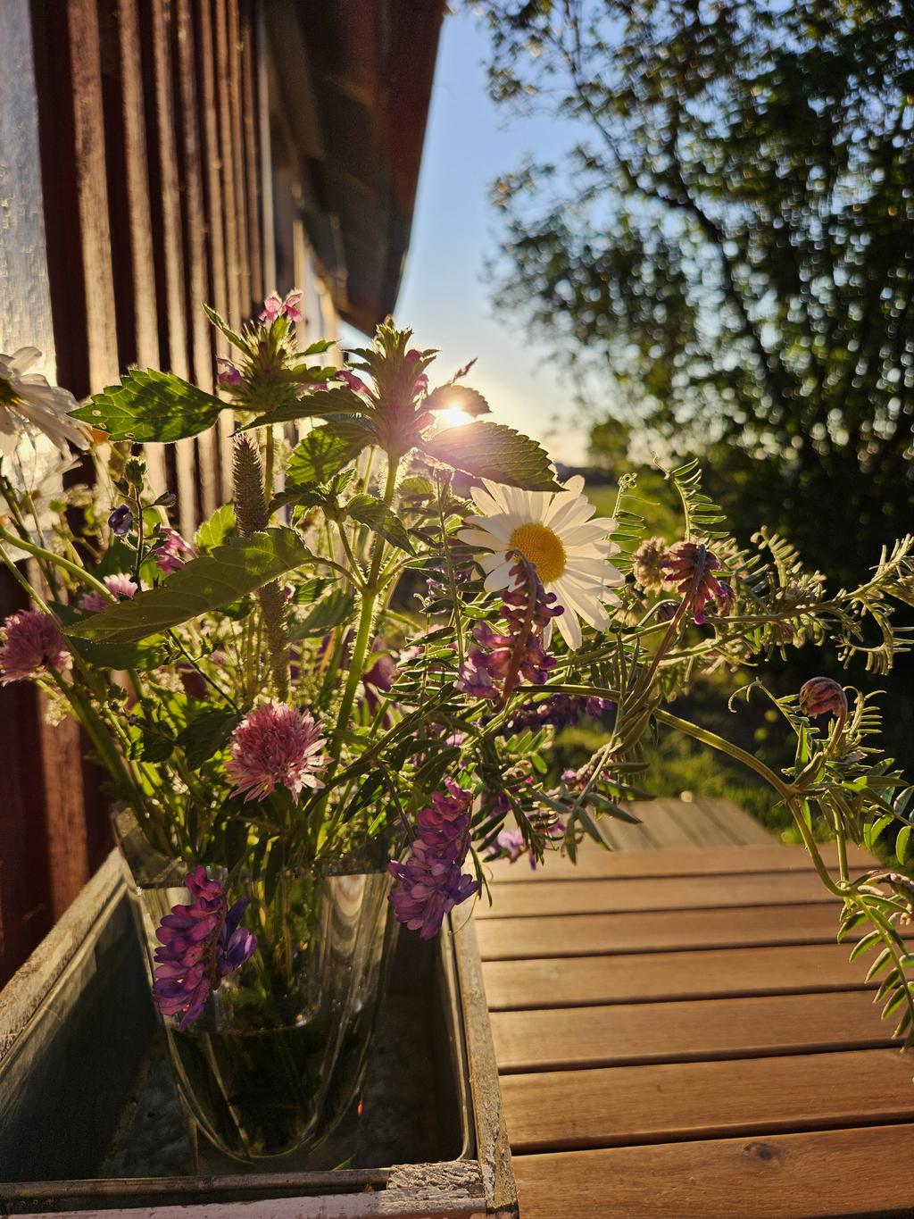 Bild tagen av säljaren