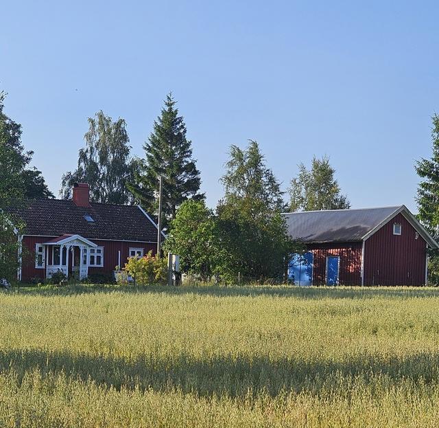 Bild tagen av säljaren