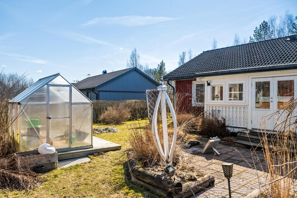 Trädgård