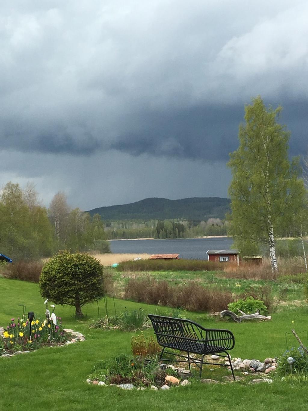 Sommarbild