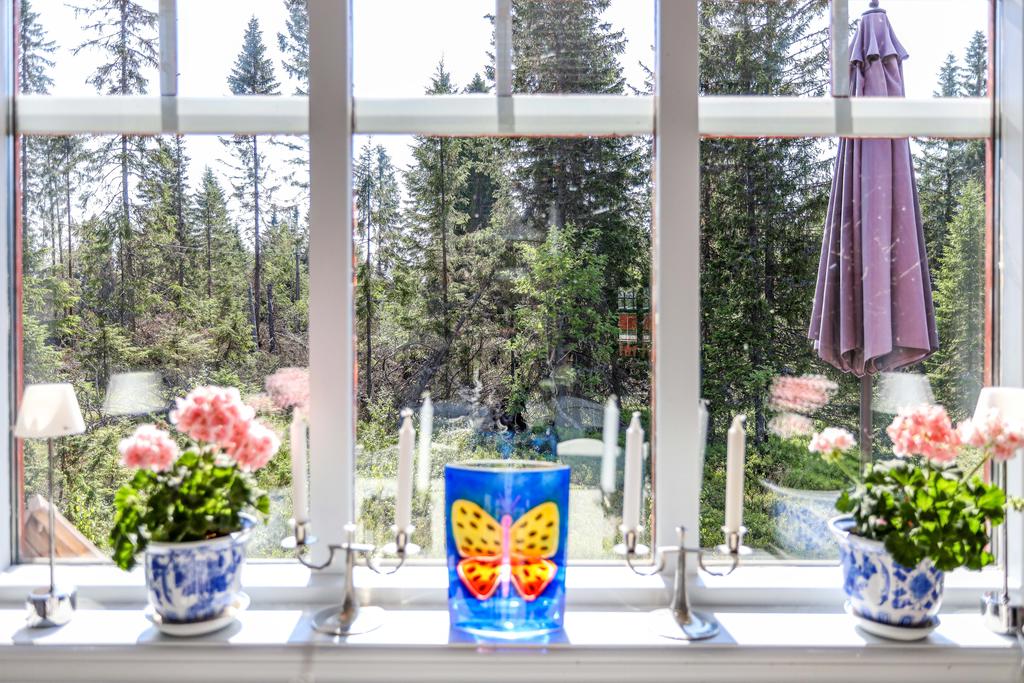 Fönstret mot naturen vid matplatsen