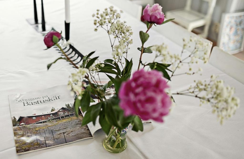 Bastuskärs historia