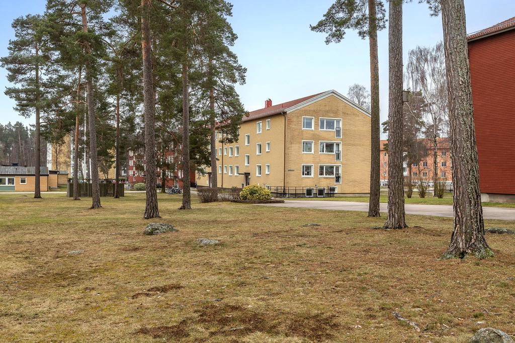 Innergård