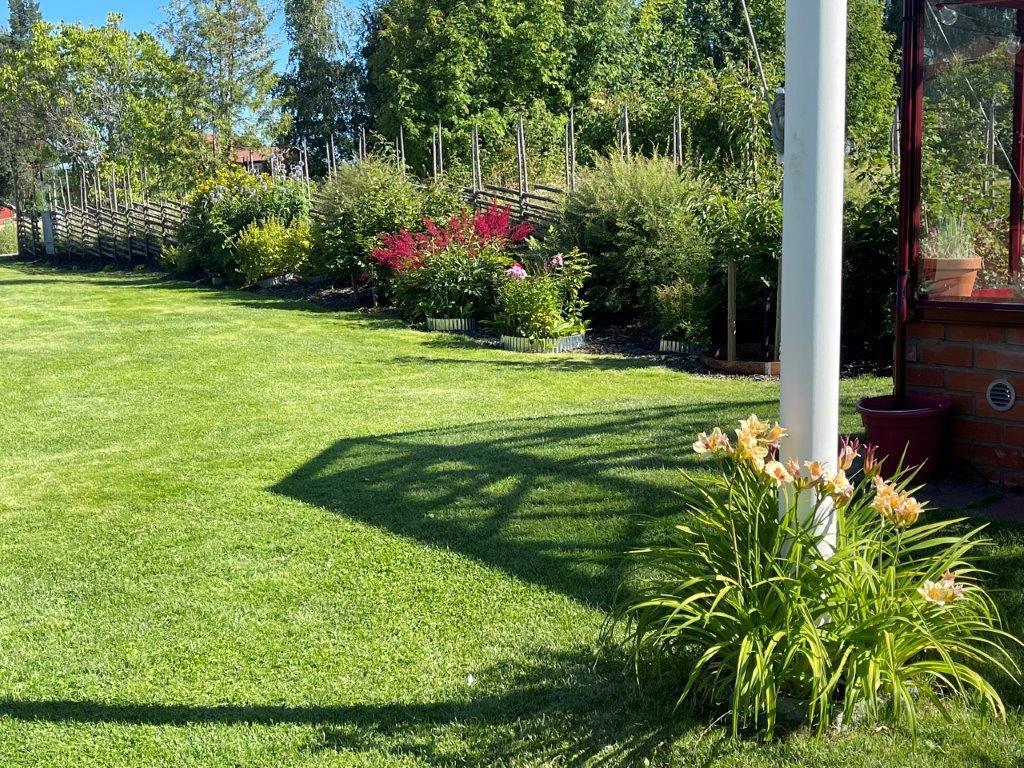 Säljarens egna bild