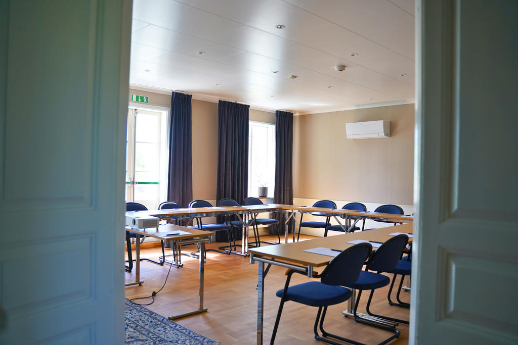 Konferensdel