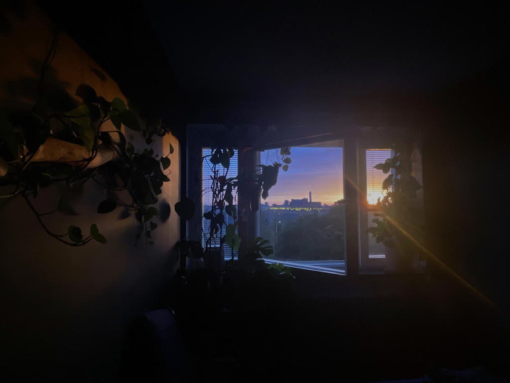 Säljarens egen bild