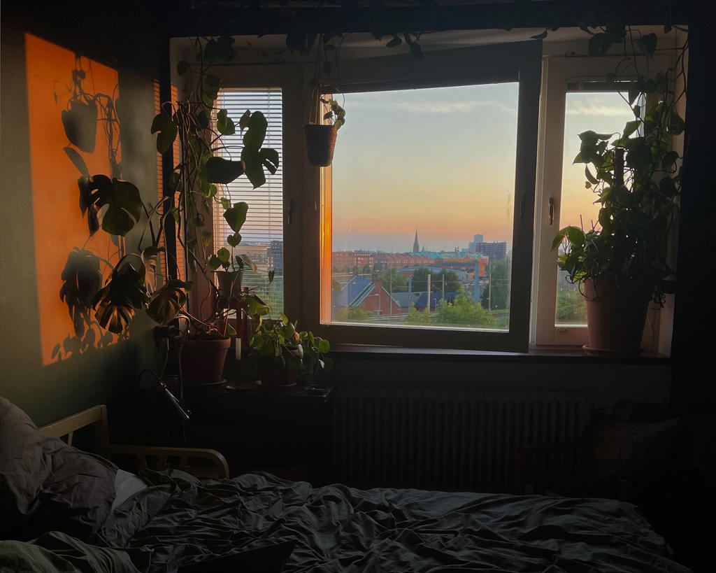 Säljarens egen bild