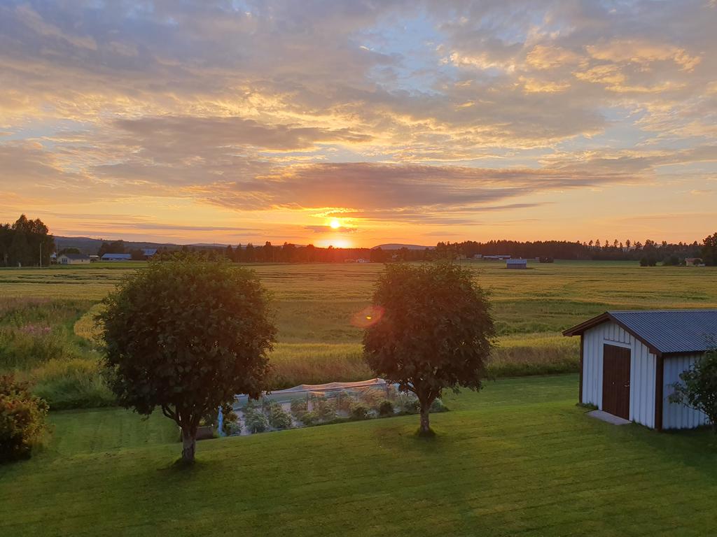 Säljarens utsiktsbild