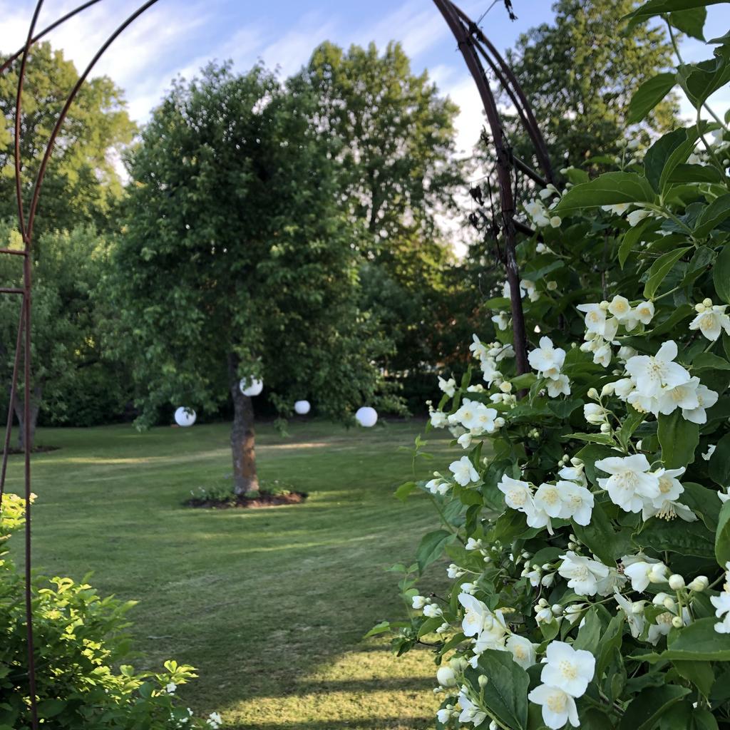 Portal med schersmin - Privat bild