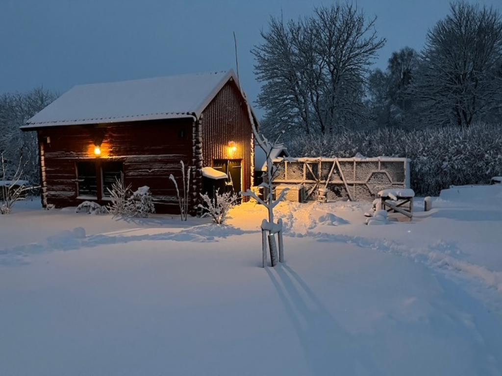 Magasin, hönshus & voljär - Privat bild
