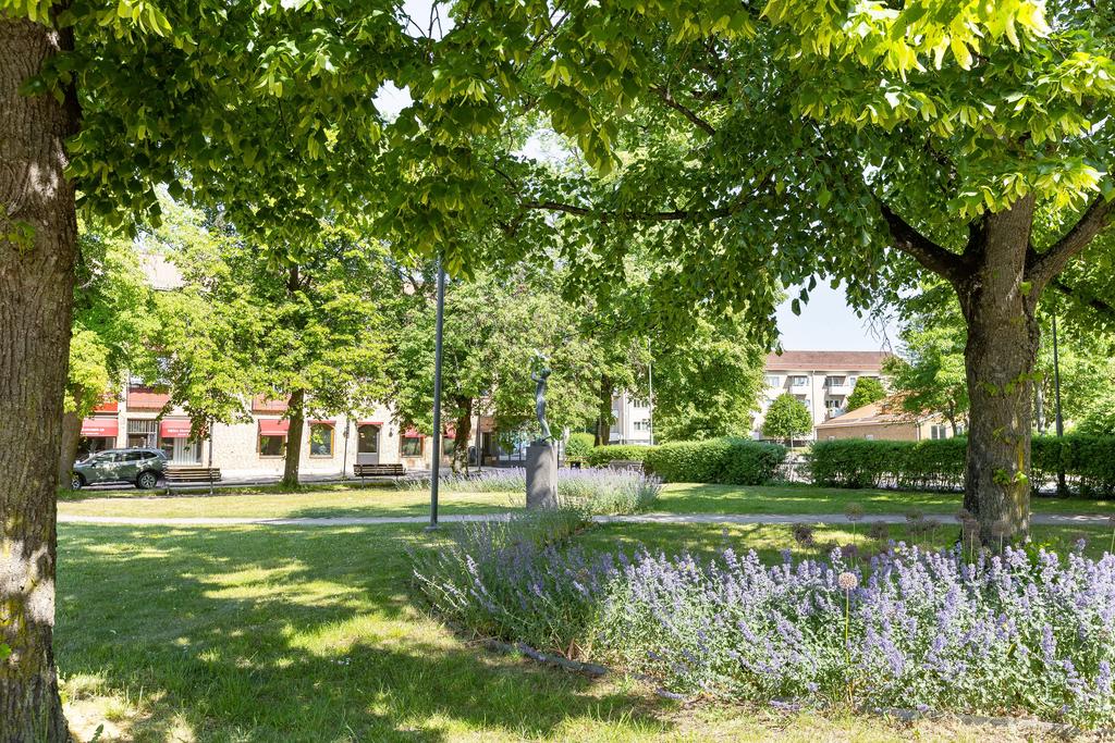 Härliga omgivningar i Tannefors