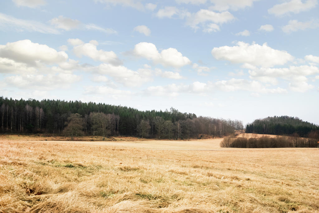 Vy från baksidan av huset