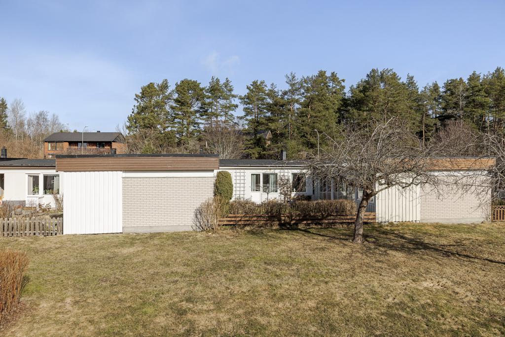 Allmänning utanför på baksidan med grönska