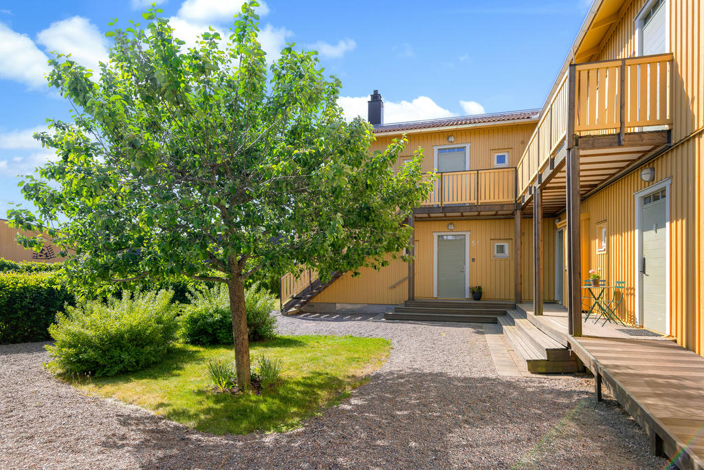 Innergård/entré sommartid