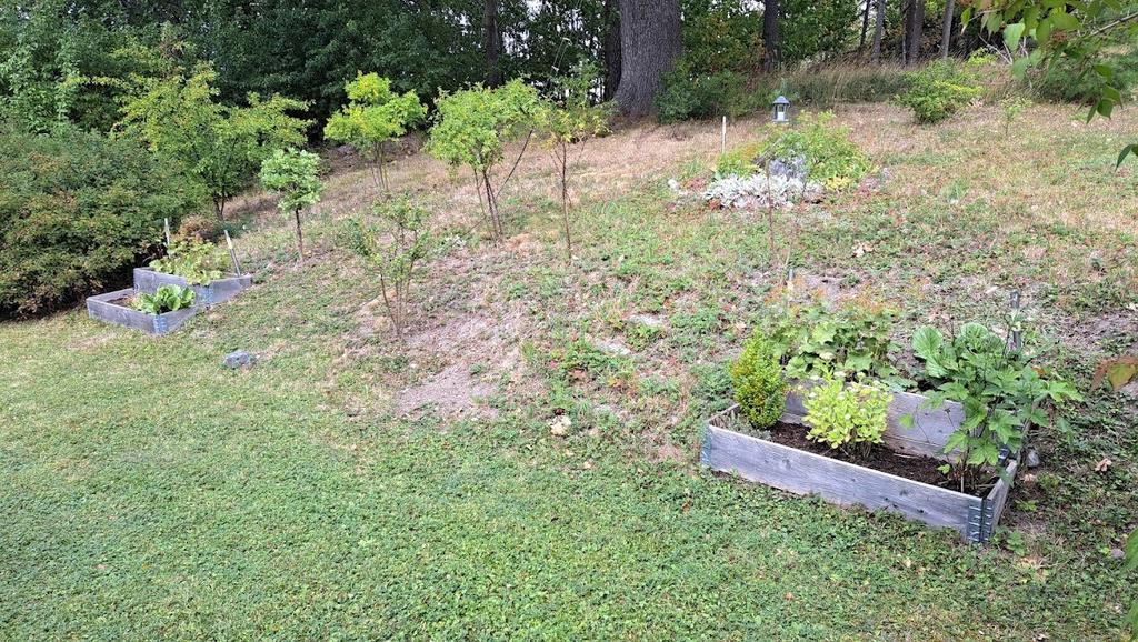 Säljarens sommarbild