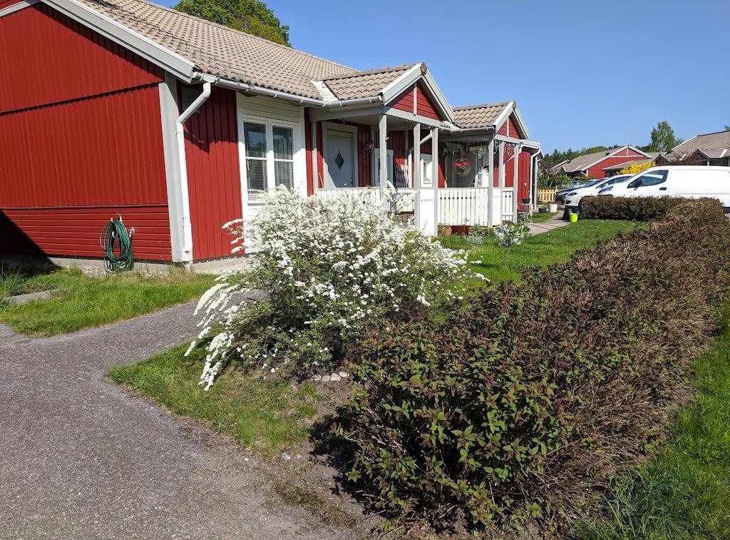 Säljarens sommarbild